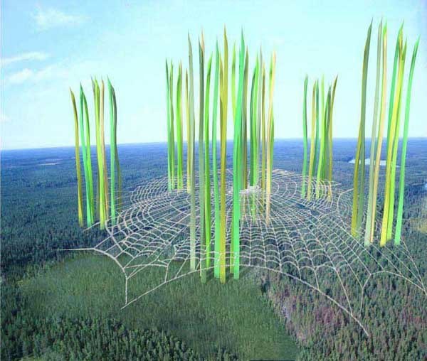 New York Skyscrapers project image